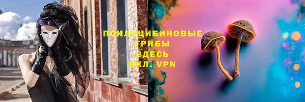 молекула духа Коряжма
