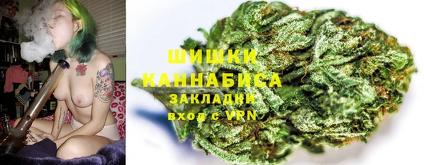 молекула духа Коряжма