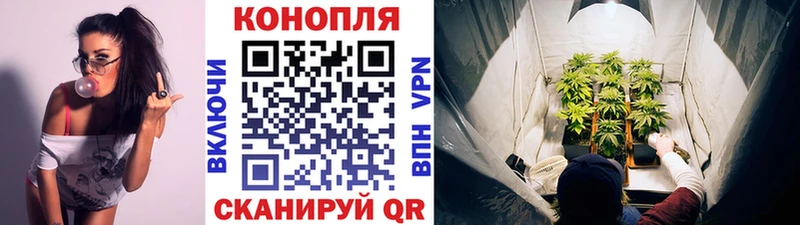 Канабис конопля Новая Ляля